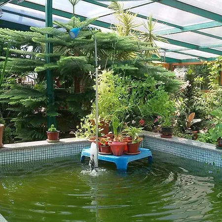 Studio 3 In Reny * סבטי ולאס